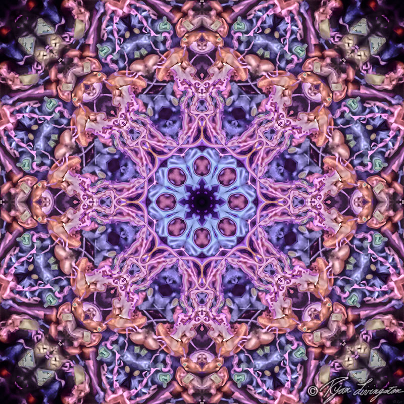 ViVortices