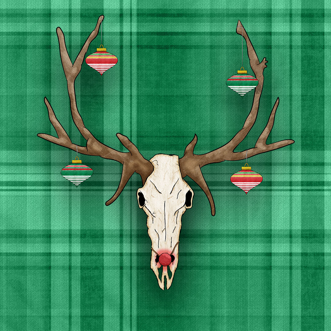 Reindeer Skull